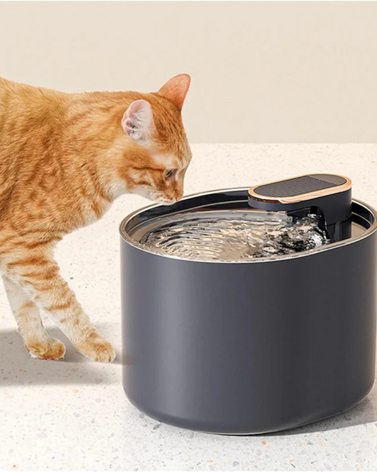 Bebedero de agua Automática para mascotas (gatos y perros)